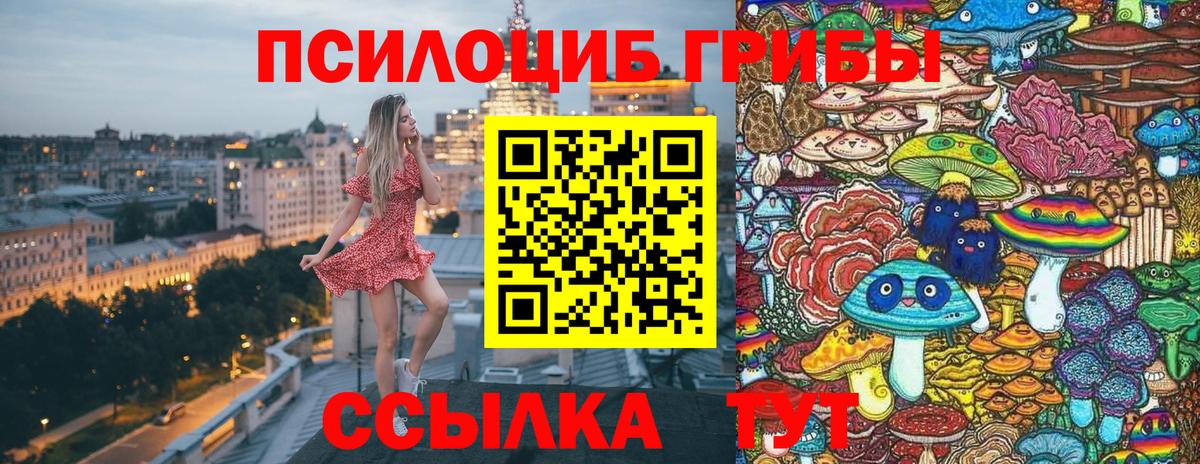 Галлюциногенные грибы Psilocybe Находка